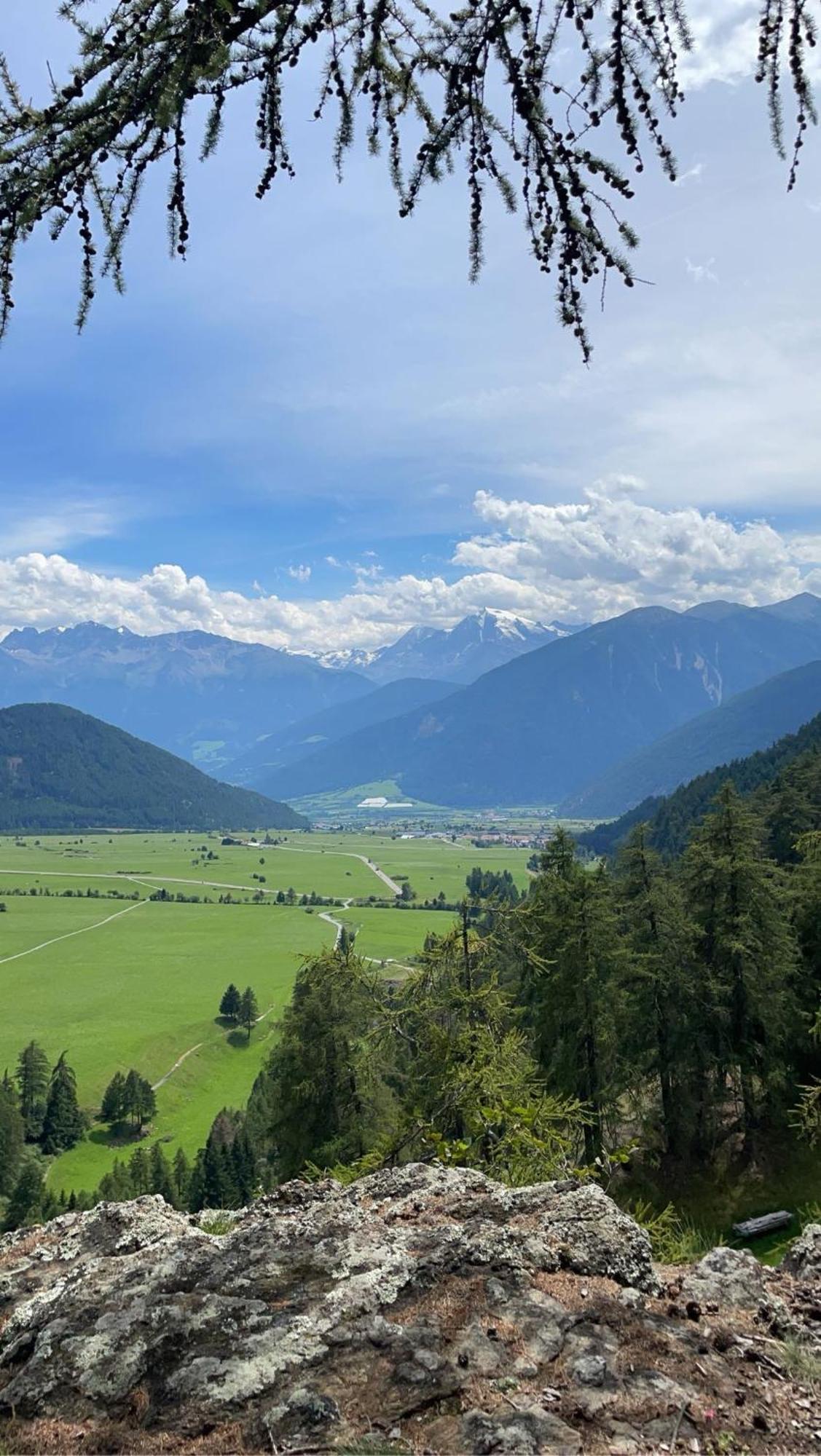 Pension Florian Burgusio Buitenkant foto